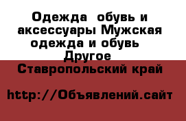 Одежда, обувь и аксессуары Мужская одежда и обувь - Другое. Ставропольский край